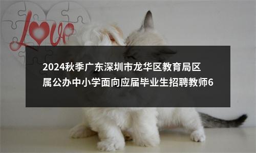 2024秋季广东深圳市龙华区教育局区属公办中小学面向应届毕业生招聘教师640人公告 图片