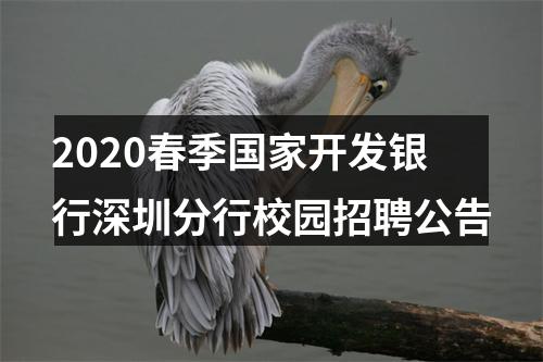 2020春季国家开发银行深圳分行校园招聘公告 图片