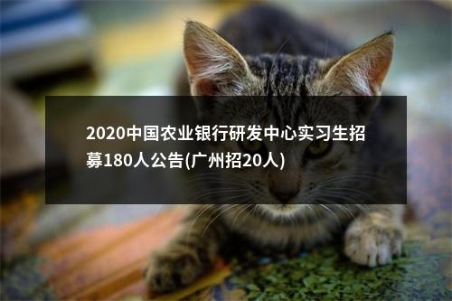 2020中国农业银行研发中心实习生招募180人公告(广州招20人) 图片