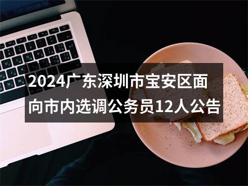 2024广东深圳市宝安区面向市内选调公务员12人公告 图片