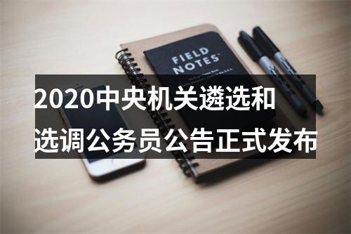 2020中央机关遴选和选调公务员公告正式发布 图片