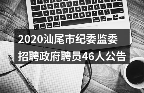 2020汕尾市纪委监委招聘政府聘员46人公告 图片