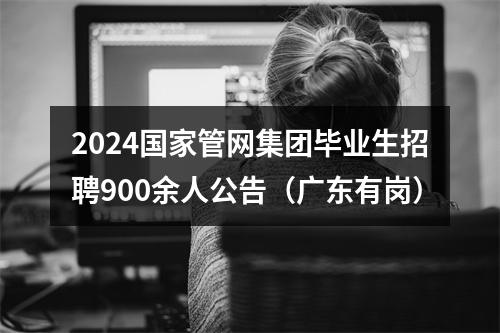 2024国家管网集团毕业生招聘900余人公告（广东有岗） 图片