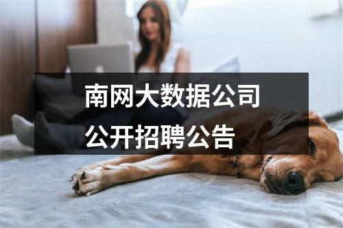 南网大数据公司公开招聘公告 图片